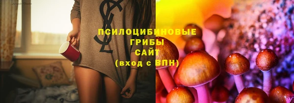 прущие крисы Белоозёрский