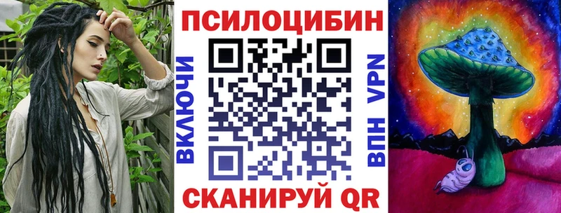 Псилоцибиновые грибы Cubensis  Боготол 